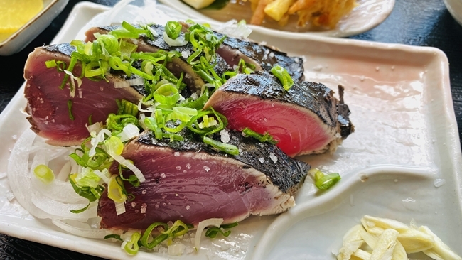 鯉のぼりならぬ、カツオのぼり?? その時飼い主は。