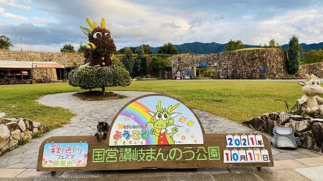 まんのう公園の「秋!色どりフェスタ」 コスモスやコキアをトラちゃんと一緒に見てきました。 香川県まんのう町 国営讃岐まんのう公園