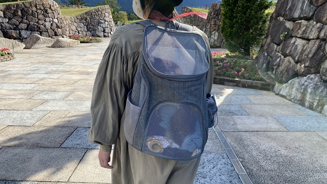 まんのう公園の「秋!色どりフェスタ」 コスモスやコキアをトラちゃんと一緒に見てきました。 香川県まんのう町 国営讃岐まんのう公園