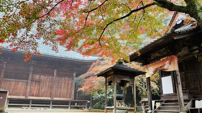 愛媛県西条市にあるお寺「西山興隆寺」紅葉を見に行ってみました♪