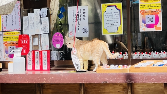 王子神社 猫のデザインの御朱印も可愛い 徳島市にある猫神さん
