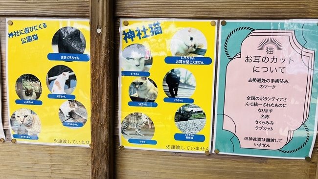王子神社 猫のデザインの御朱印も可愛い 徳島市にある猫神さん