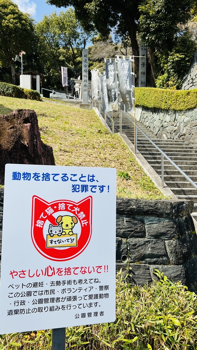 王子神社 猫のデザインの御朱印も可愛い 徳島市にある猫神さん