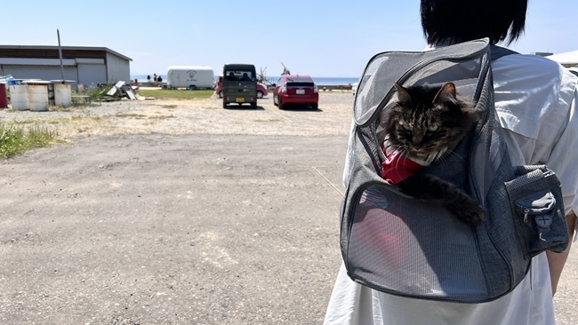 「ウユニ塩湖」のような写真が撮れると話題の父母ヶ浜(ちちぶがはま)にトラちゃんと~