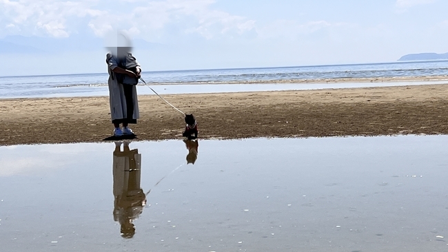 「ウユニ塩湖」のような写真が撮れると話題の父母ヶ浜(ちちぶがはま)にトラちゃんと~