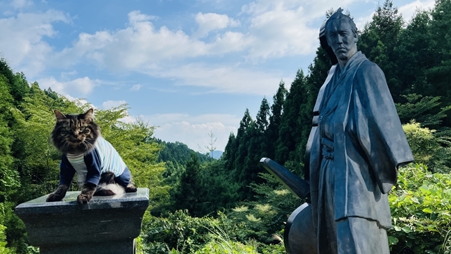 韮ヶ峠(にらがとうげ) 坂本龍馬が脱藩した地に行ってみた!