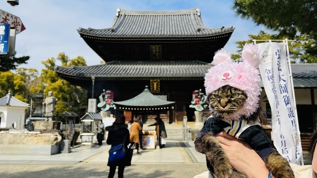 トラちゃん、弘法大師空海御誕生の所 善通寺に行ってみました♪