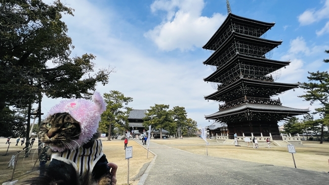 トラちゃん、弘法大師空海御誕生の所 善通寺に行ってみました♪