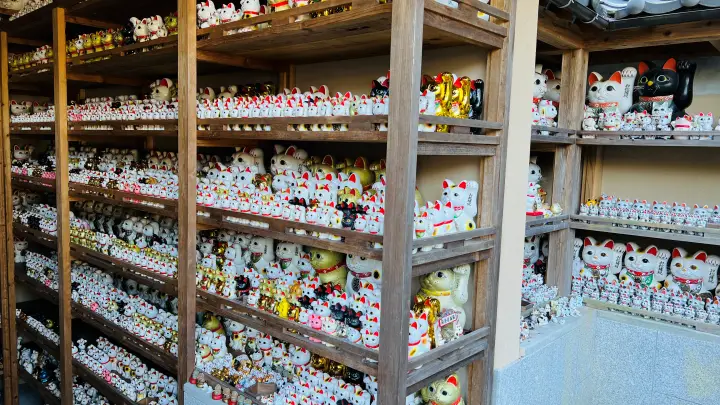 【徳島】お松大権現はペット参拝OK！1万体の招き猫に囲まれる「猫神さん」の見どころ