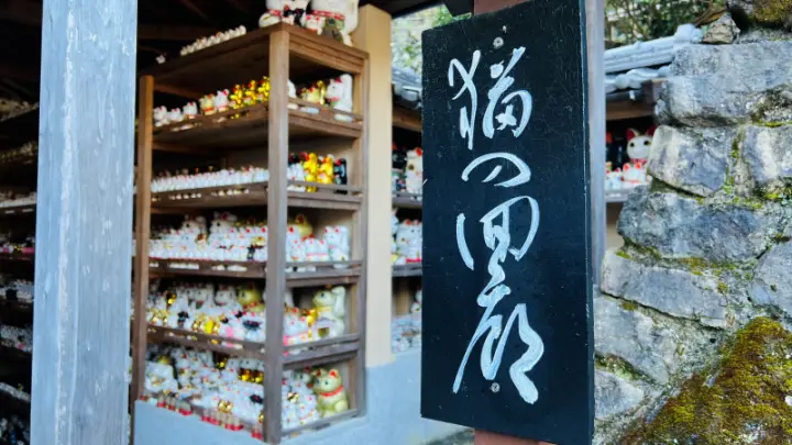 【徳島】お松大権現はペット参拝OK！1万体の招き猫に囲まれる「猫神さん」の見どころ