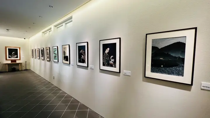 【徳島】お松大権現はペット参拝OK！1万体の招き猫に囲まれる「猫神さん」の見どころ