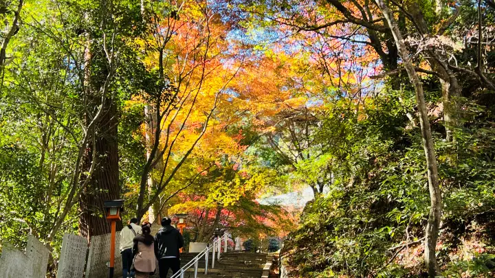令和８年 午(うま）干支の切り絵 吉祥宝来 西山興隆寺へ紅葉を楽しみながら猫のトラちゃんが行く