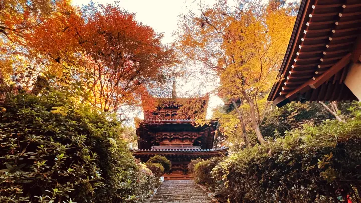 令和８年 午(うま）干支の切り絵 吉祥宝来 西山興隆寺へ紅葉を楽しみながら猫のトラちゃんが行く