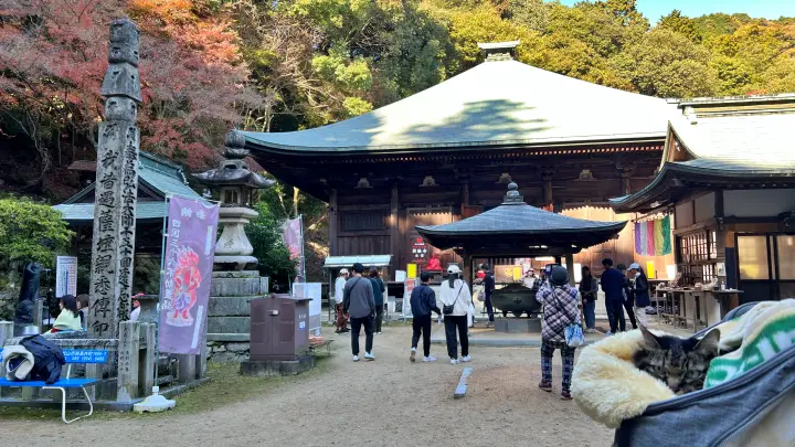 令和８年 午(うま）干支の切り絵 吉祥宝来 西山興隆寺へ紅葉を楽しみながら猫のトラちゃんが行く