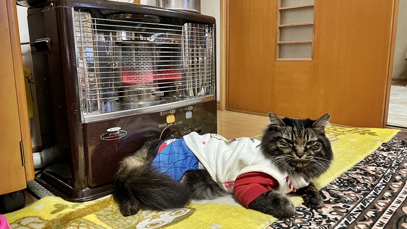 あの~アレですよアレ!を、つけていただきたいですが~
