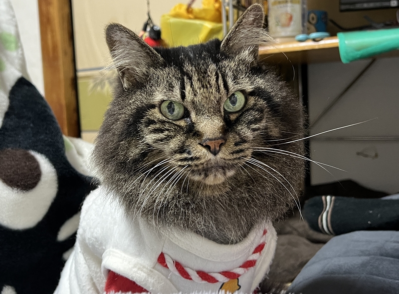 2024年 明けましておめでとうございます。