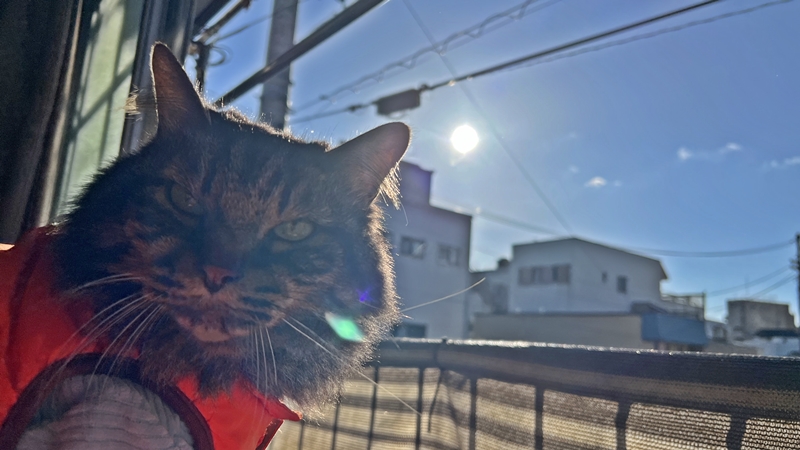 2024年 明けましておめでとうございます。
