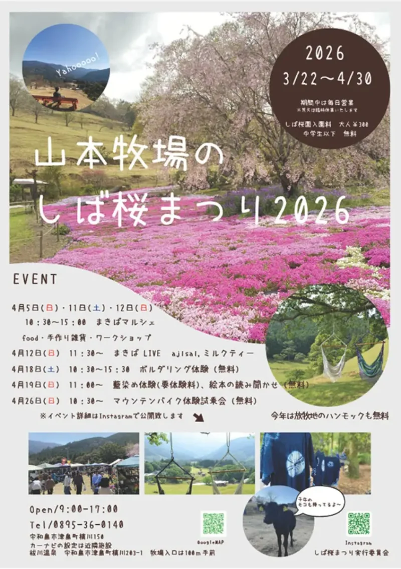【最新情報】山本牧場しば桜まつり2026