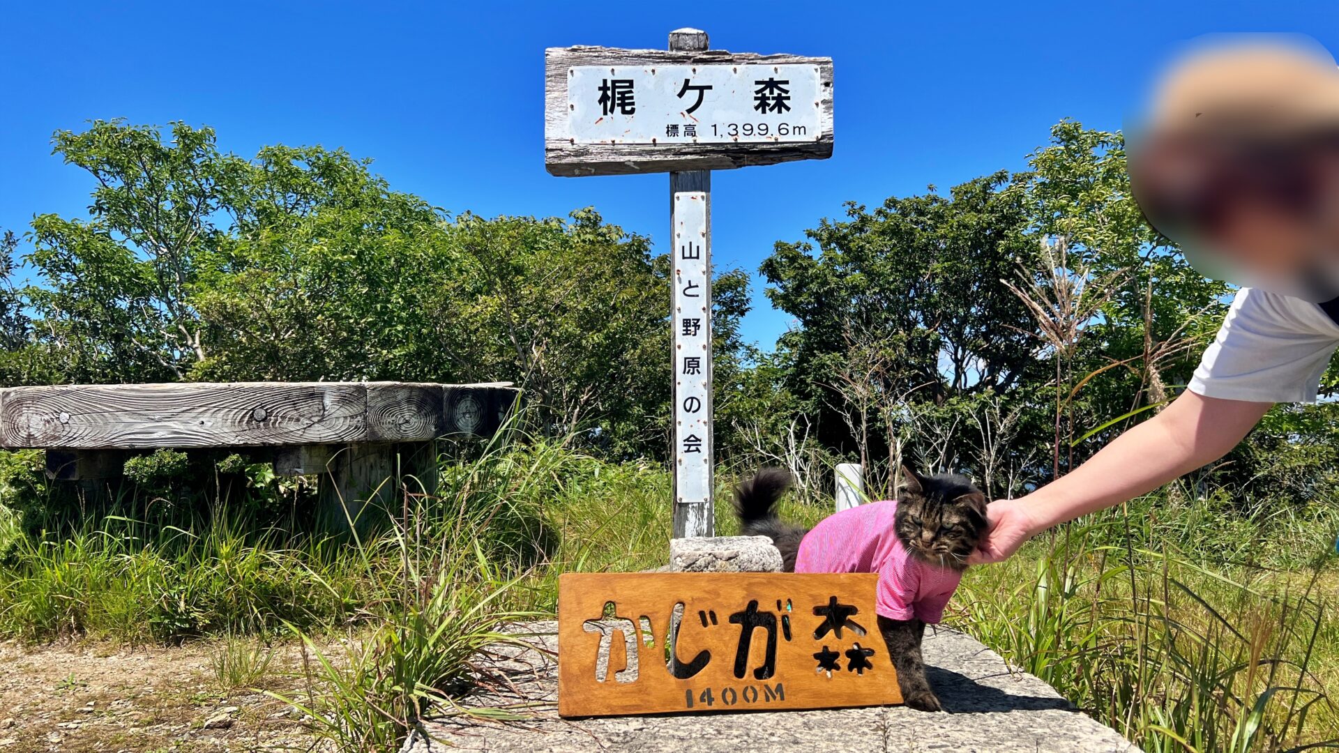 梶ヶ森の山頂にペットと一緒に涼みに行ってみました