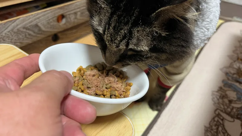 鹿肉パウダーは栄養素が豊富 ペット用 猫のトラちゃんは食べてくれるのか!?