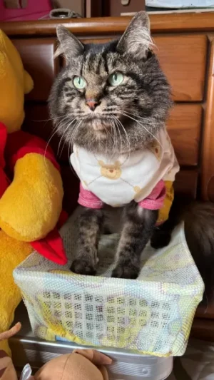 元気ですよ~ 18歳のお誕生を迎えました!