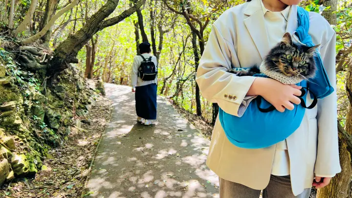 【佐田岬灯台】猫と行く四国最西端絶景スポット！駐車場・散策時間・ペット可の観光完全ガイド