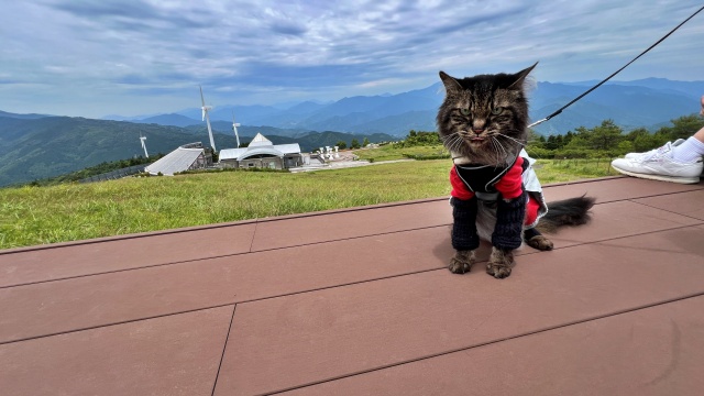 ヌオー マンホール 大豊町 ゆとりすとパークにあった 高知推しポケモン