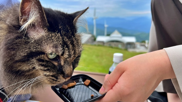 ゆとりすとパーク パノラマ絶景を楽しみながら散策 お昼ご飯も満喫♪