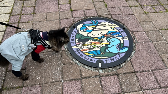 ヌオー マンホール 大豊町 ゆとりすとパークにあった 高知推しポケモン