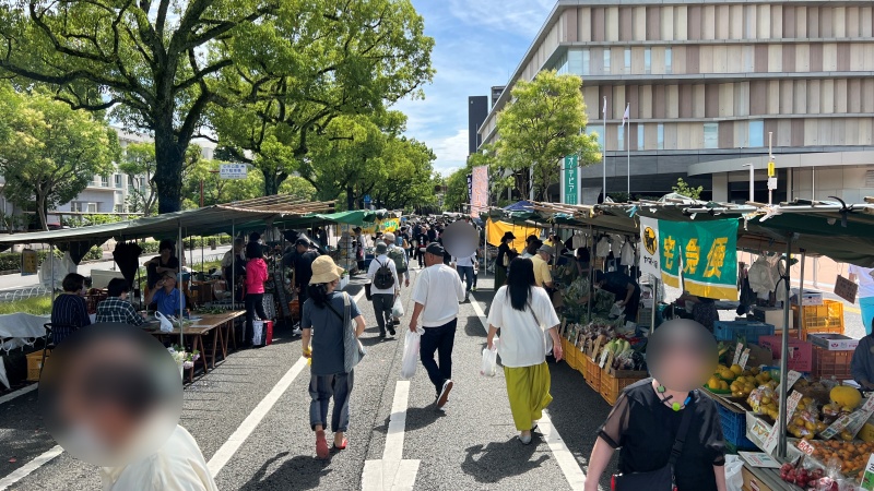 暑すぎじゃね？ 散歩がてら日曜市を散策 鶏むね肉の南蛮漬けでさっぱりと！