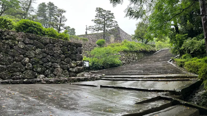書類書いてると邪魔してくる猫あるある 梅雨の日の雨降る降る予報