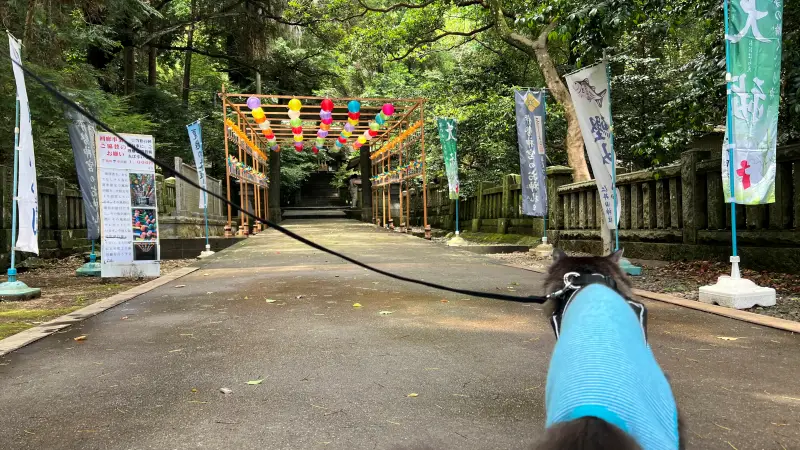 仁井田神社 傘みくじ 風車の廻廊 梅雨の季節を楽しむ 高知のパワースポット