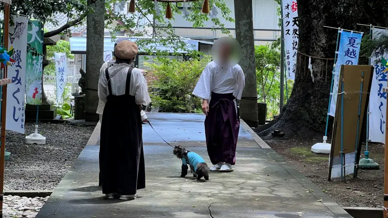 仁井田神社 傘みくじ 風車の廻廊 梅雨の季節を楽しむ 高知のパワースポット