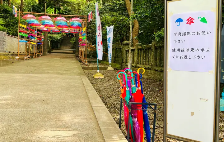 高知市・仁井田神社 傘回廊・傘みくじ・ペットと巡る参拝ガイド｜歴史・アクセス完全攻略