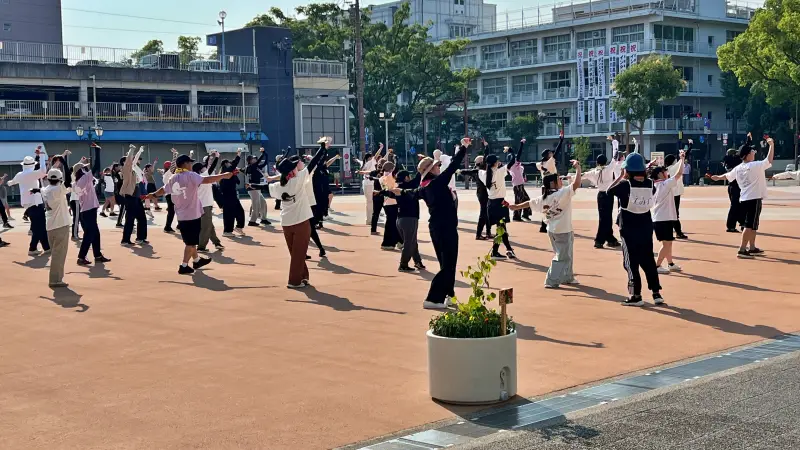 暑い日の猫達を見ながら散歩 よさこい踊りの練習をちょっと見学