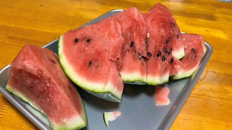 スイカの大きさにちょっとビビってる!? 弾けそうなくらいパンパンで食べ頃