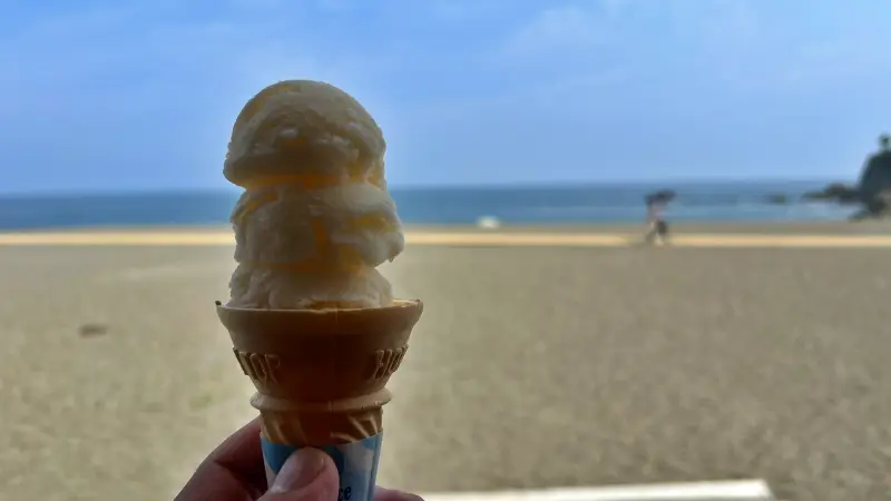 暑い中、遠くからお友達が遊びに来てくれました♪ 桂浜や高知城へ 