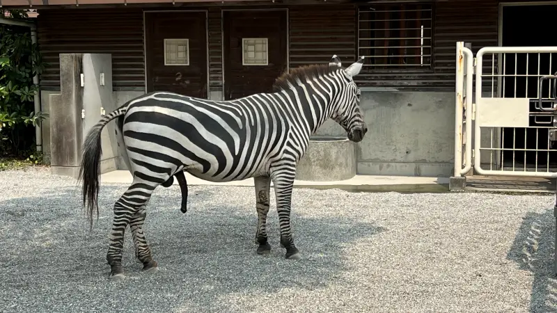 わんぱーくこうち 料金無料の動物園 アニマルランドや公園内を散策