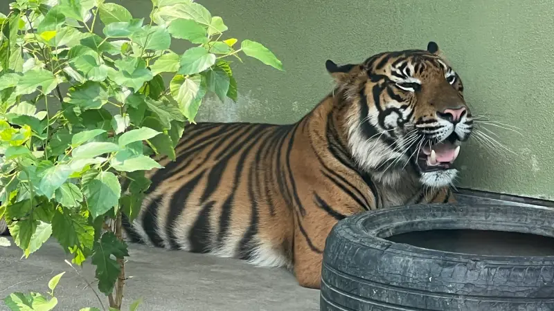 わんぱーくこうち 料金無料の動物園 アニマルランドや公園内を散策