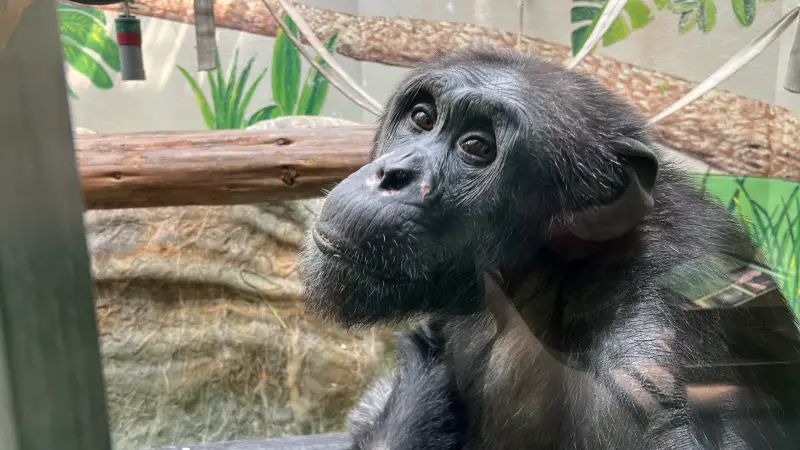 わんぱーくこうち 料金無料の動物園 アニマルランドや公園内を散策