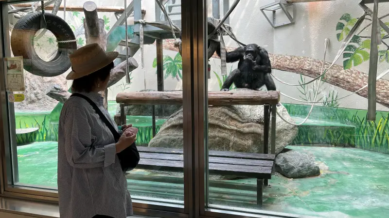 わんぱーくこうち 料金無料の動物園 アニマルランドや公園内を散策