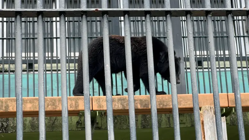 わんぱーくこうち 料金無料の動物園 アニマルランドや公園内を散策
