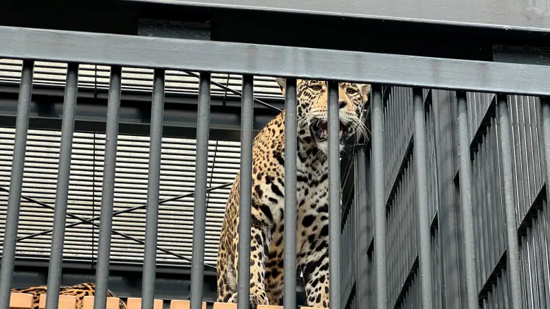 わんぱーくこうち 料金無料の動物園 アニマルランドや公園内を散策