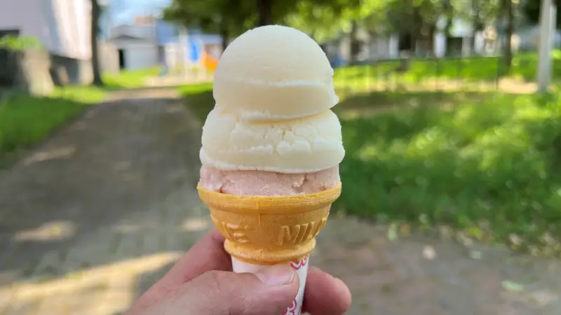 アイスクリンが美味しい 高知名物 いつでも食べたくなる独特の食感が魅力