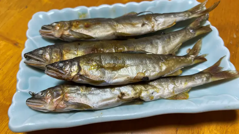 アユを釣ったよ~ お友達が持って来てくれました♪ 鮎が美味しい季節
