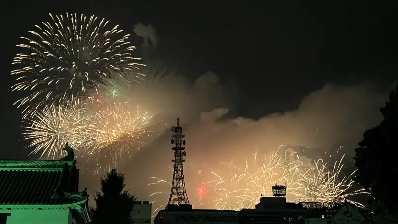 よさこい祭り トラちゃん生息地が発祥 お家から鳴子の音が聞こえるよ 警察官も踊る!