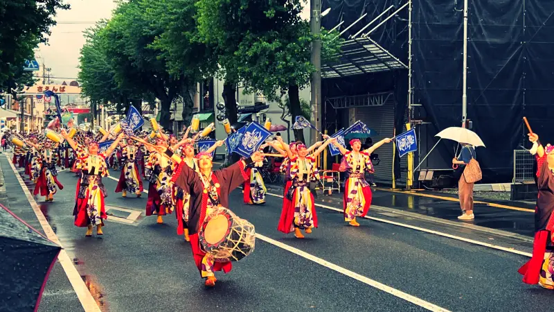 よさこい祭り トラちゃん生息地が発祥 お家から鳴子の音が聞こえるよ 警察官も踊る!