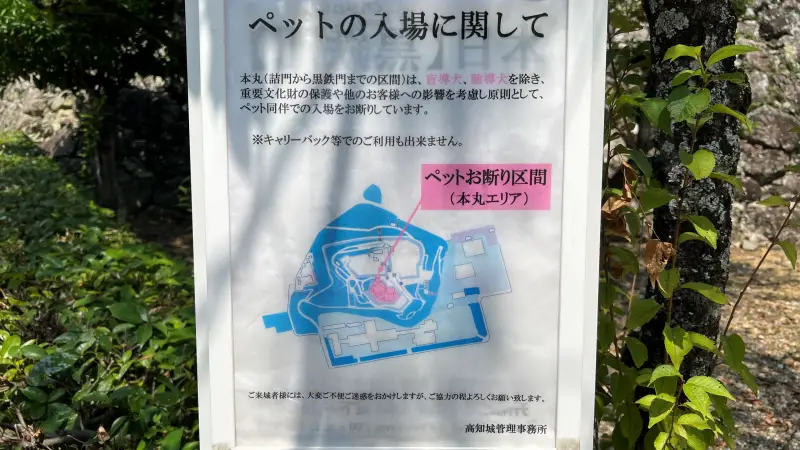 ギックリ腰は突然やって来る 自己流の治し方! トラちゃんならどうする?