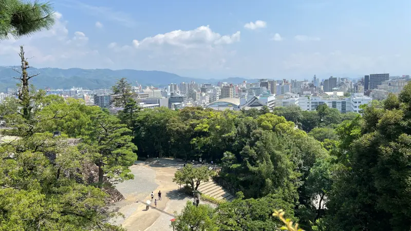 ギックリ腰は突然やって来る 自己流の治し方! トラちゃんならどうする?