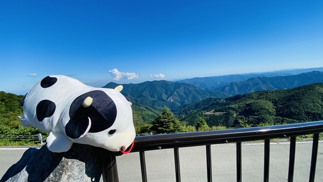 天狗高原に遊びに行ったお土産がお気に召したようです。